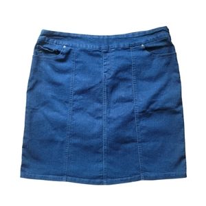 Cleo Denim Skirt Size XL in Blue